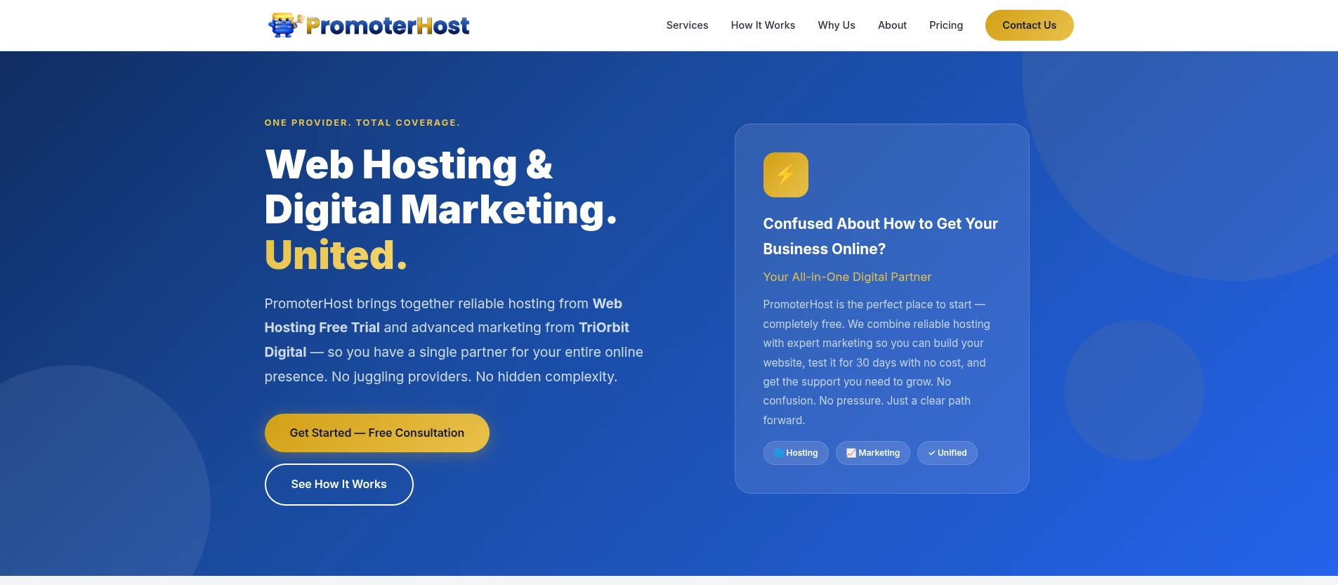 Homepage thumbnail of promoterhost.com showing the custom brand site for the joint hosting and digital marketing partnership